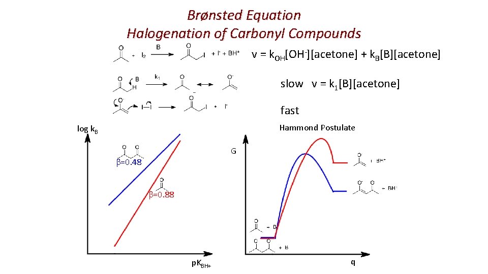 Brønsted Equation Halogenation of Carbonyl Compounds v = k. OH[OH-][acetone] + k. B[B][acetone] slow