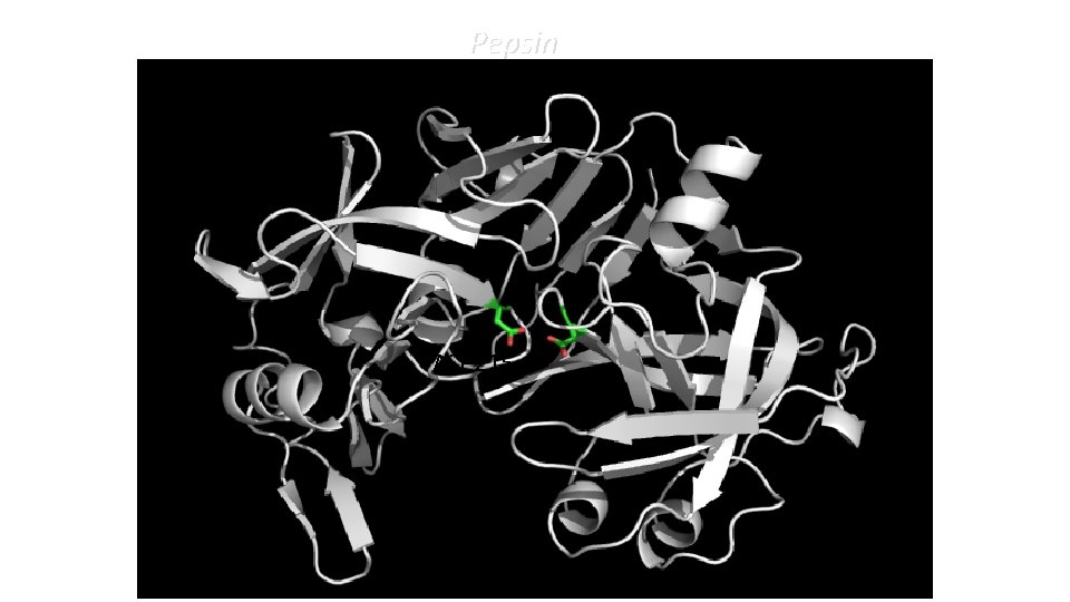 Pepsin ASP 215 ASP 32 