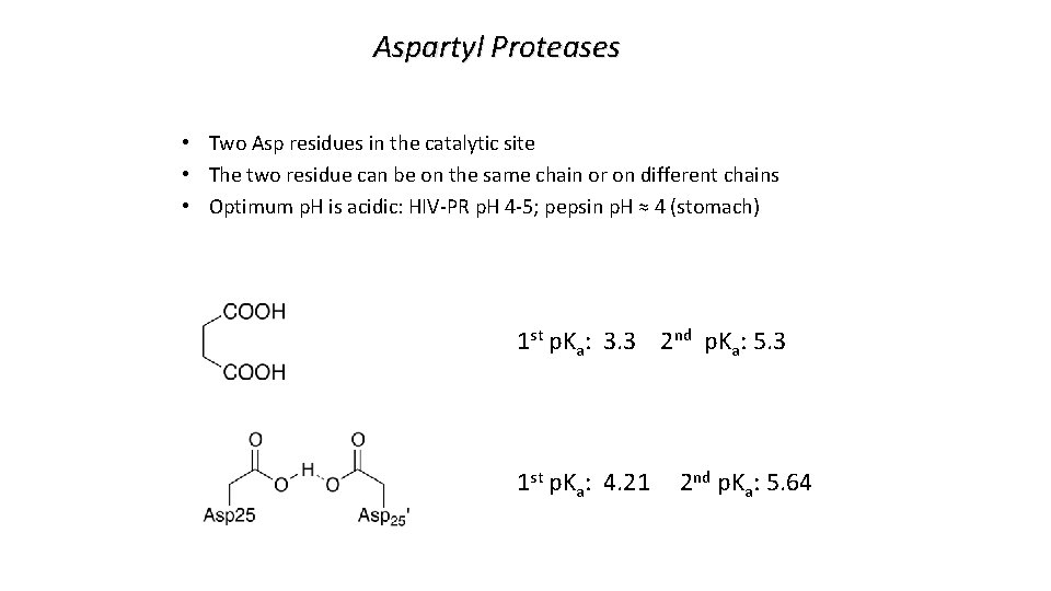 Aspartyl Proteases • Two Asp residues in the catalytic site • The two residue