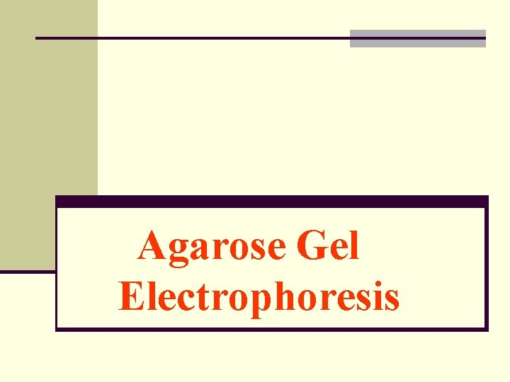 Agarose Gel Electrophoresis 