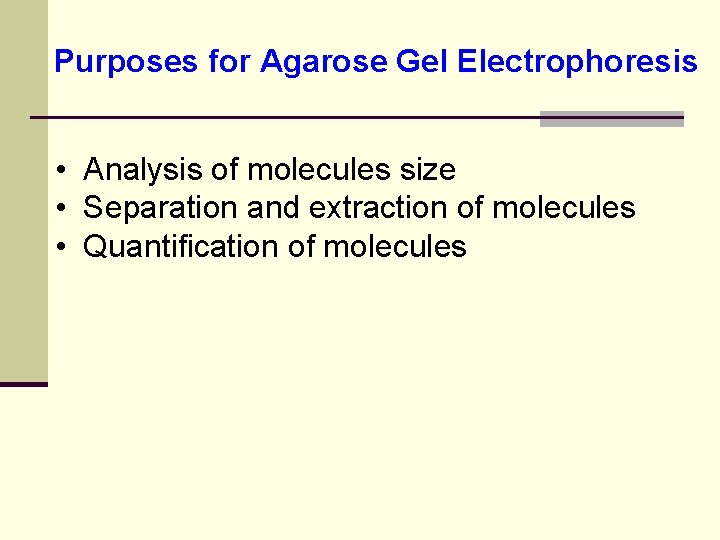 Purposes for Agarose Gel Electrophoresis • Analysis of molecules size • Separation and extraction