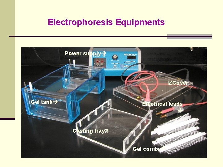 Electrophoresis Equipments Power supply Cover Gel tank Electrical leads Casting tray Gel combs 