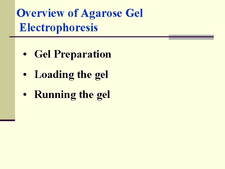 Overview of Agarose Gel Electrophoresis • Gel Preparation • Loading the gel • Running