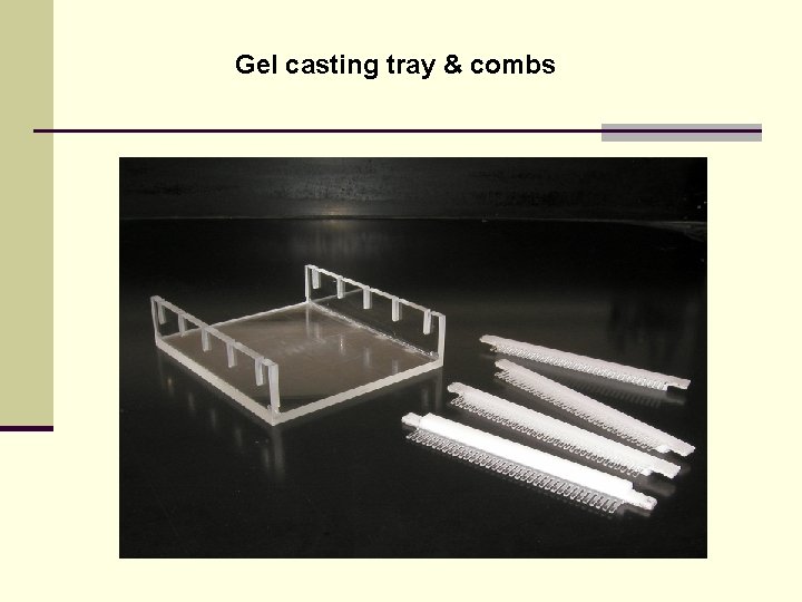 Gel casting tray & combs 