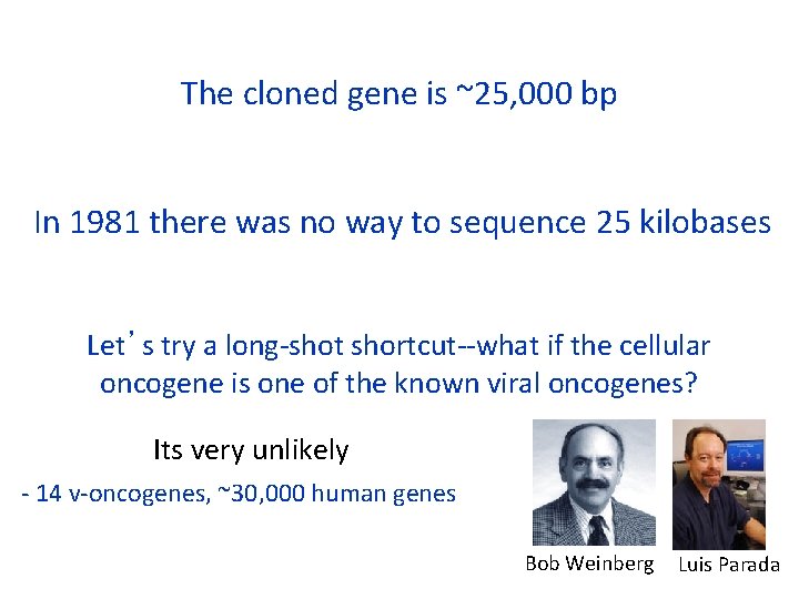 The cloned gene is ~25, 000 bp In 1981 there was no way to