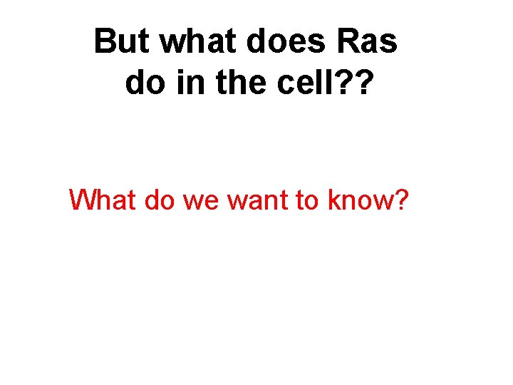 But what does Ras do in the cell? ? What do we want to