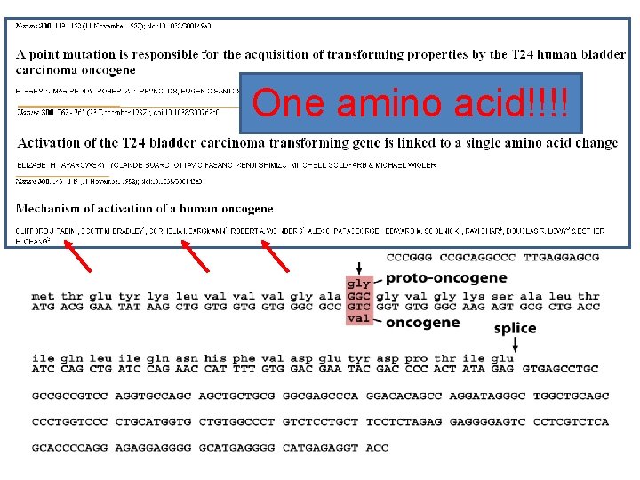 One amino acid!!!! 