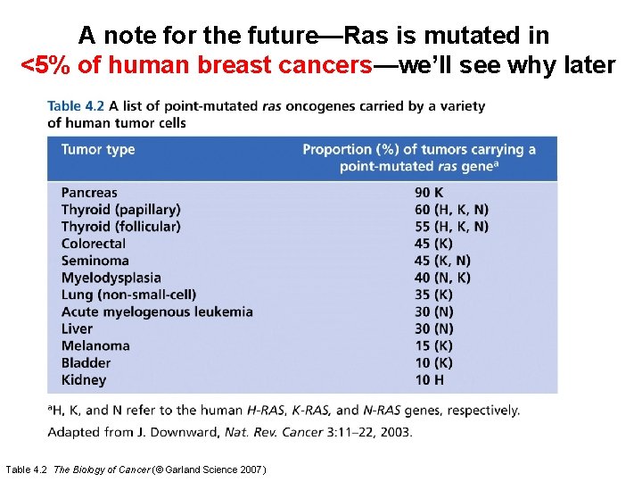 A note for the future—Ras is mutated in <5% of human breast cancers—we’ll see