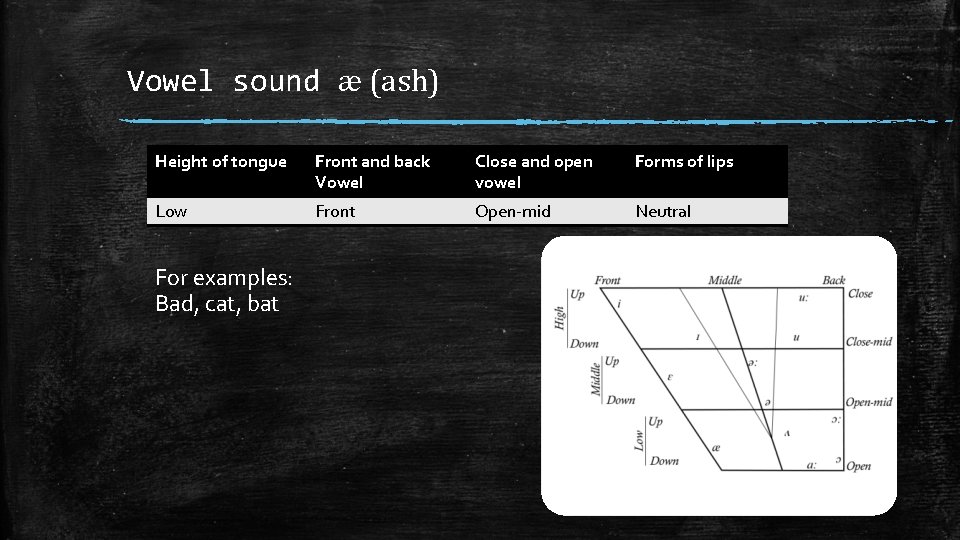 Vowel sound æ (ash) Height of tongue Front and back Vowel Close and open