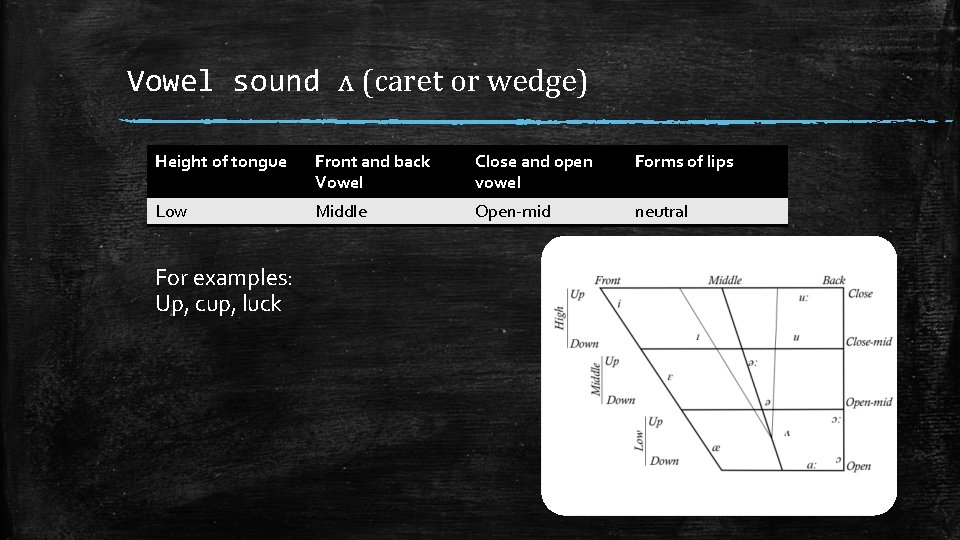 Vowel sound ʌ (caret or wedge) Height of tongue Front and back Vowel Close