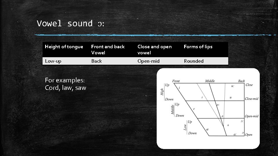 Vowel sound ɔ: Height of tongue Front and back Vowel Close and open vowel