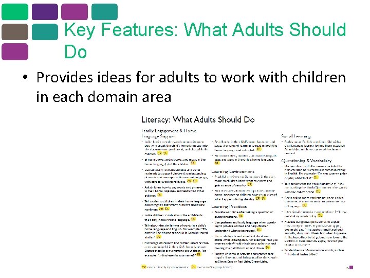 Key Features: What Adults Should Do • Provides ideas for adults to work with