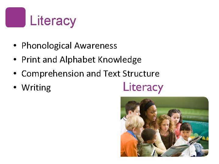 Literacy • • Phonological Awareness Print and Alphabet Knowledge Comprehension and Text Structure Writing