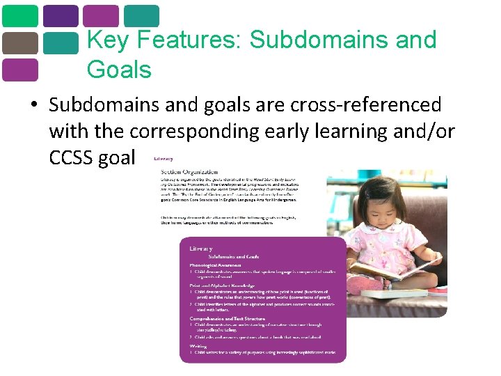 Key Features: Subdomains and Goals • Subdomains and goals are cross-referenced with the corresponding