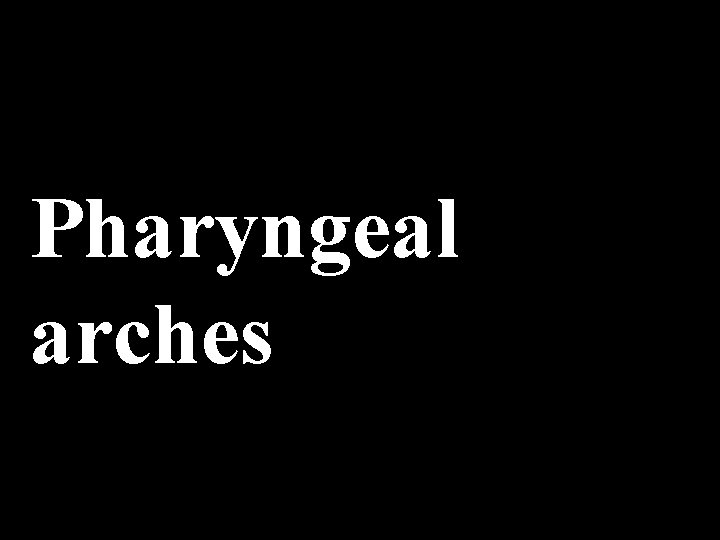 Pharyngeal arches 