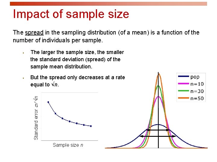 Impact of sample size The spread in the sampling distribution (of a mean) is