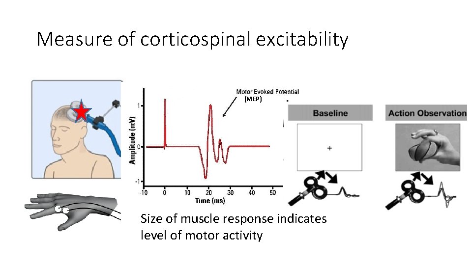 Measure of corticospinal excitability (MEP) Size of muscle response indicates level of motor activity