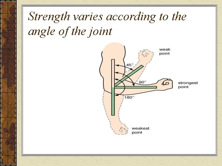 Strength varies according to the angle of the joint 
