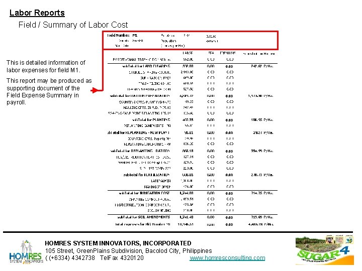 Labor Reports Field / Summary of Labor Cost This is detailed information of labor Labor Reports Field / Summary of Labor Cost This is detailed information of labor