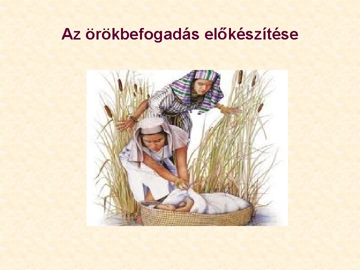 Az örökbefogadás előkészítése 