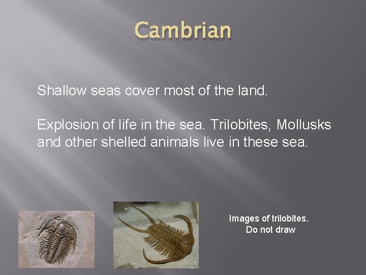 Cambrian Shallow seas cover most of the land. Explosion of life in the sea.