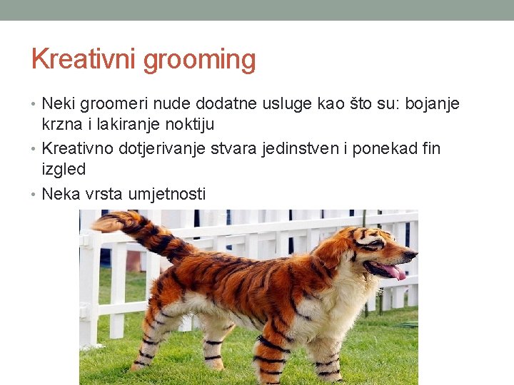 Kreativni grooming • Neki groomeri nude dodatne usluge kao što su: bojanje krzna i