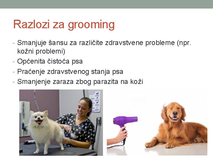 Razlozi za grooming - Smanjuje šansu za različite zdravstvene probleme (npr. kožni problemi) -