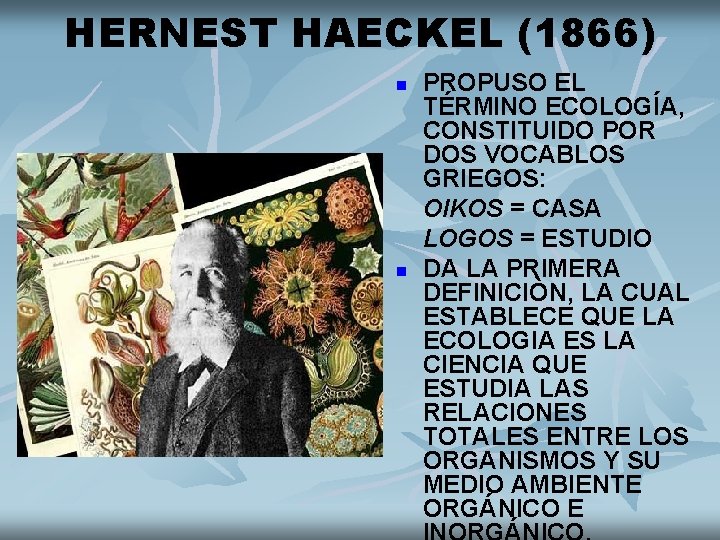 HERNEST HAECKEL (1866) n n PROPUSO EL TÉRMINO ECOLOGÍA, CONSTITUIDO POR DOS VOCABLOS GRIEGOS: