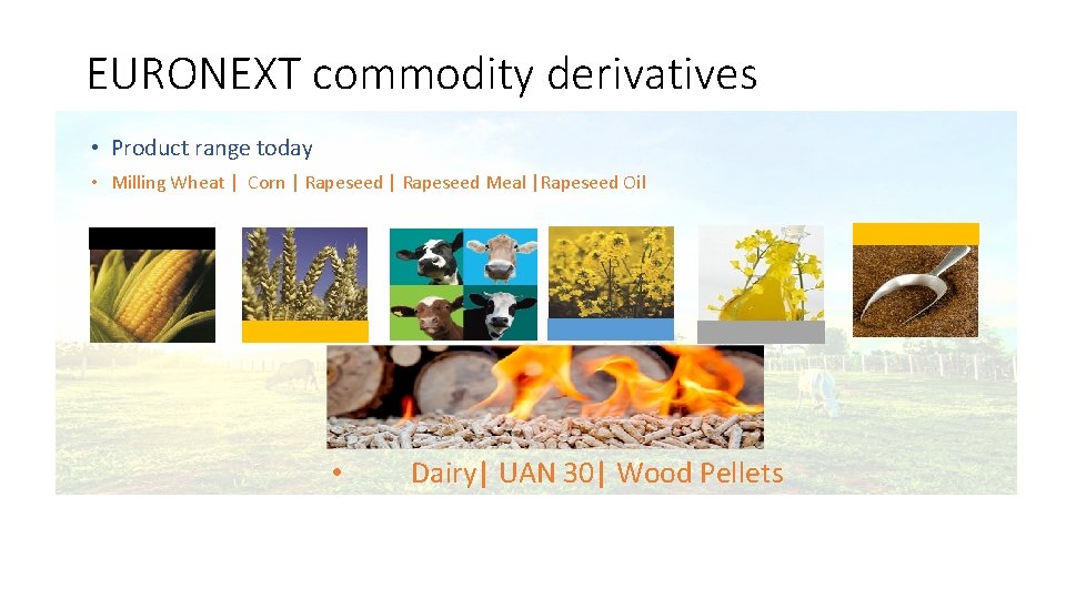 EURONEXT commodity derivatives • Product range today • Milling Wheat | Corn | Rapeseed