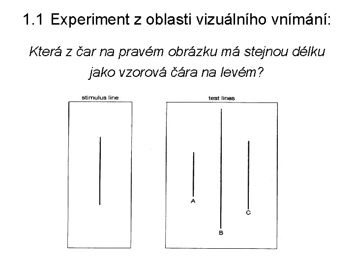 1. 1 Experiment z oblasti vizuálního vnímání: Která z čar na pravém obrázku má