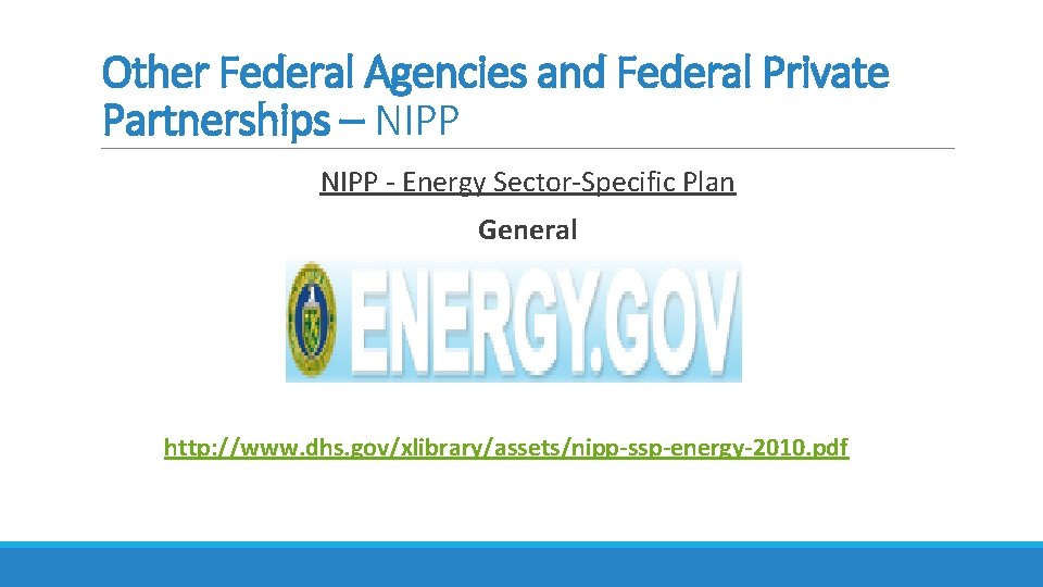 Other Federal Agencies and Federal Private Partnerships – NIPP - Energy Sector-Specific Plan General