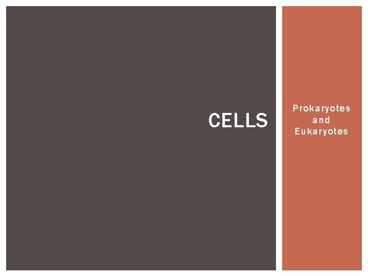 CELLS Prokaryotes and Eukaryotes 