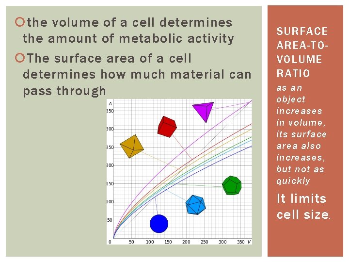  the volume of a cell determines the amount of metabolic activity The surface