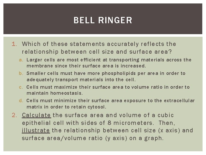 BELL RINGER 1. Which of these statements accurately reflects the relationship between cell size