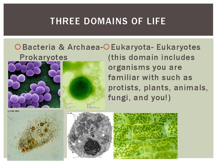 THREE DOMAINS OF LIFE Bacteria & Archaea- Eukaryotes Prokaryotes (this domain includes organisms you