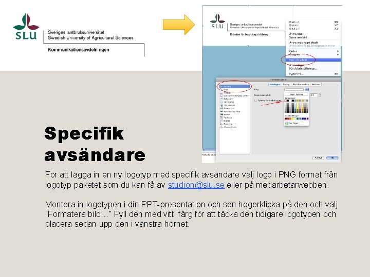 Specifik avsändare För att lägga in en ny logotyp med specifik avsändare välj logo