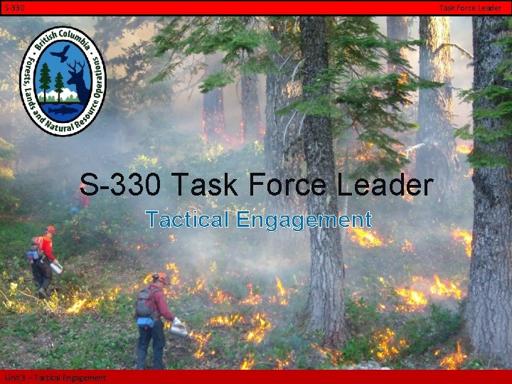 S-330 Task Force Leader S-330 Task Force Leader Tactical Engagement Unit 3 – Tactical