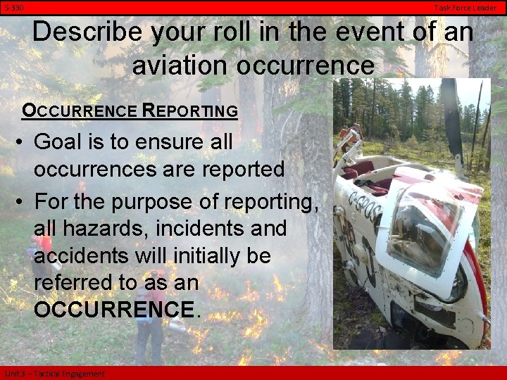 S-330 Task Force Leader Describe your roll in the event of an aviation occurrence