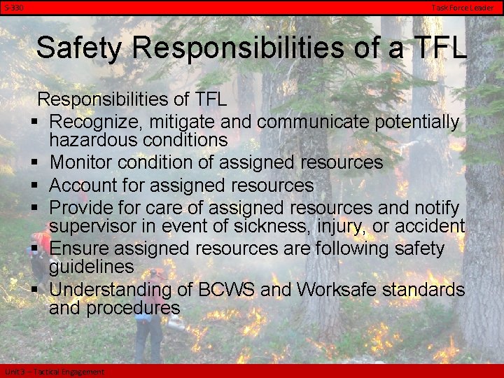 S-330 Task Force Leader Safety Responsibilities of a TFL Responsibilities of TFL § Recognize,