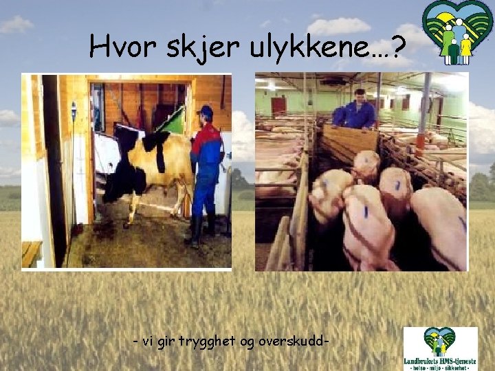 Hvor skjer ulykkene…? - vi gir trygghet og overskudd- 