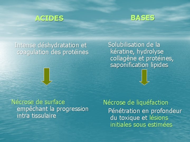 ACIDES Intense déshydratation et coagulation des protéines BASES Solubilisation de la kératine, hydrolyse collagène