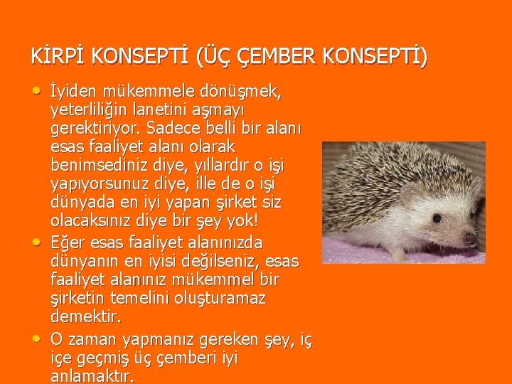 KİRPİ KONSEPTİ (ÜÇ ÇEMBER KONSEPTİ) • İyiden mükemmele dönüşmek, • • yeterliliğin lanetini aşmayı KİRPİ KONSEPTİ (ÜÇ ÇEMBER KONSEPTİ) • İyiden mükemmele dönüşmek, • • yeterliliğin lanetini aşmayı