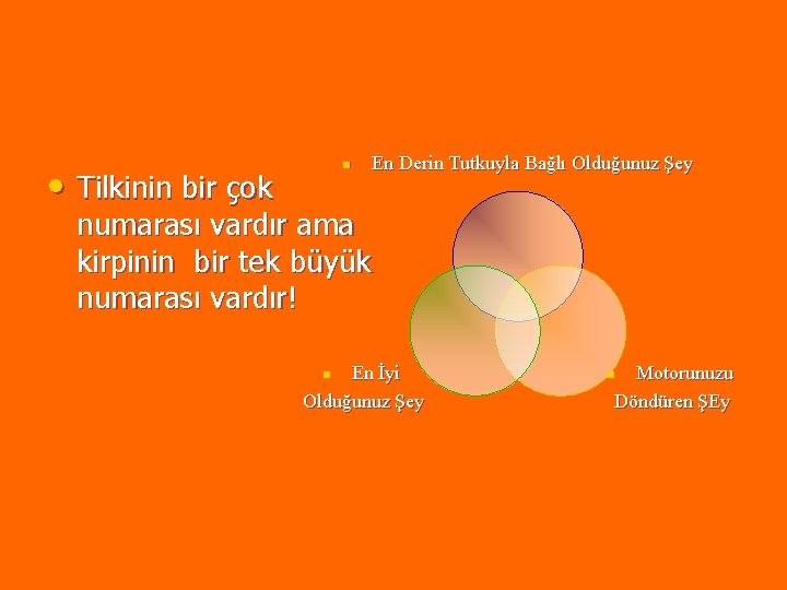 n • Tilkinin bir çok En Derin Tutkuyla Bağlı Olduğunuz Şey numarası vardır ama n • Tilkinin bir çok En Derin Tutkuyla Bağlı Olduğunuz Şey numarası vardır ama
