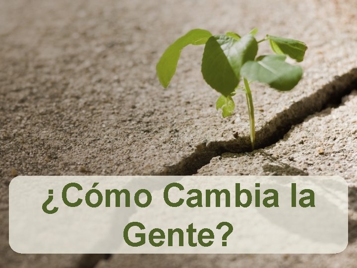 ¿Cómo Cambia la Gente? 