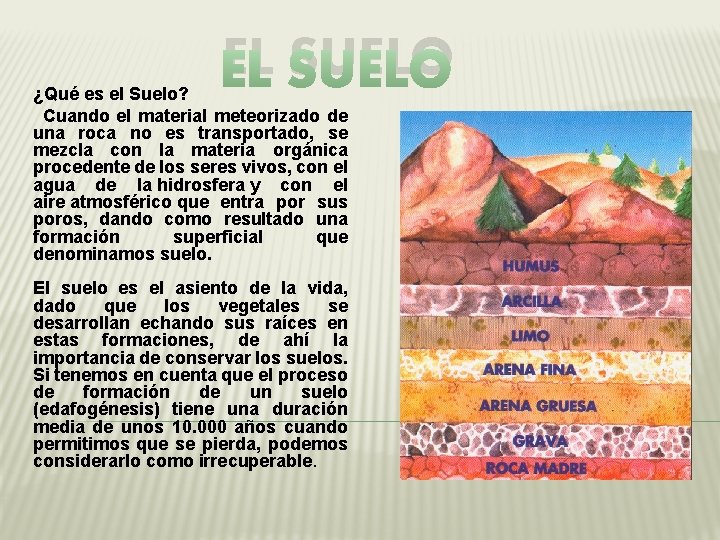 EL SUELO ¿Qué es el Suelo? Cuando el material meteorizado de una roca no