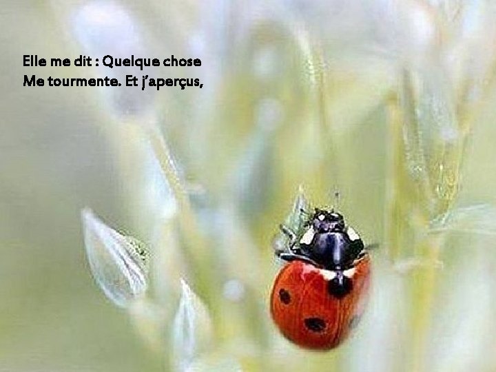 Elle me dit : Quelque chose Me tourmente. Et j’aperçus, 