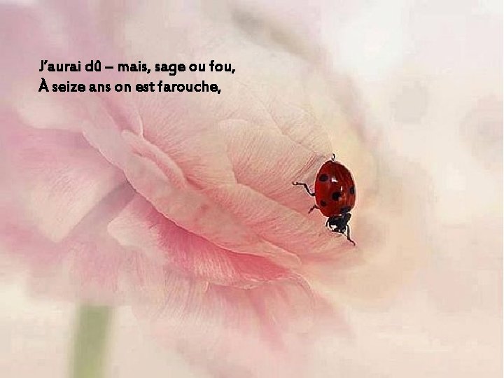 J’aurai dû – mais, sage ou fou, À seize ans on est farouche, 