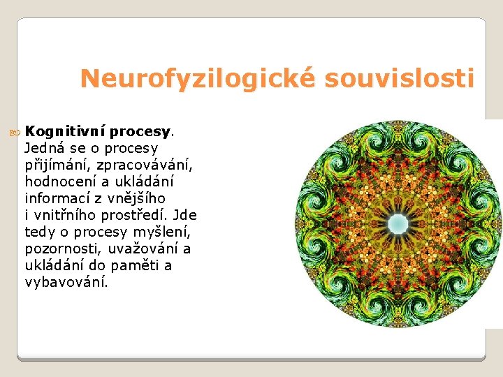 Neurofyzilogické souvislosti Kognitivní procesy. Jedná se o procesy přijímání, zpracovávání, hodnocení a ukládání informací