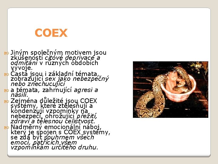 COEX Jiným společným motivem jsou zkušeností citové deprivace a odmítání v různých obdobích vývoje.