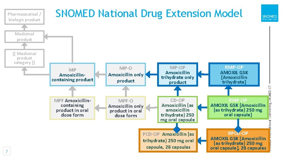 Linda Bird SNOMED International Julie James Blue Wave